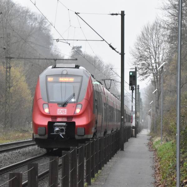 Neuer Inhalt (2)