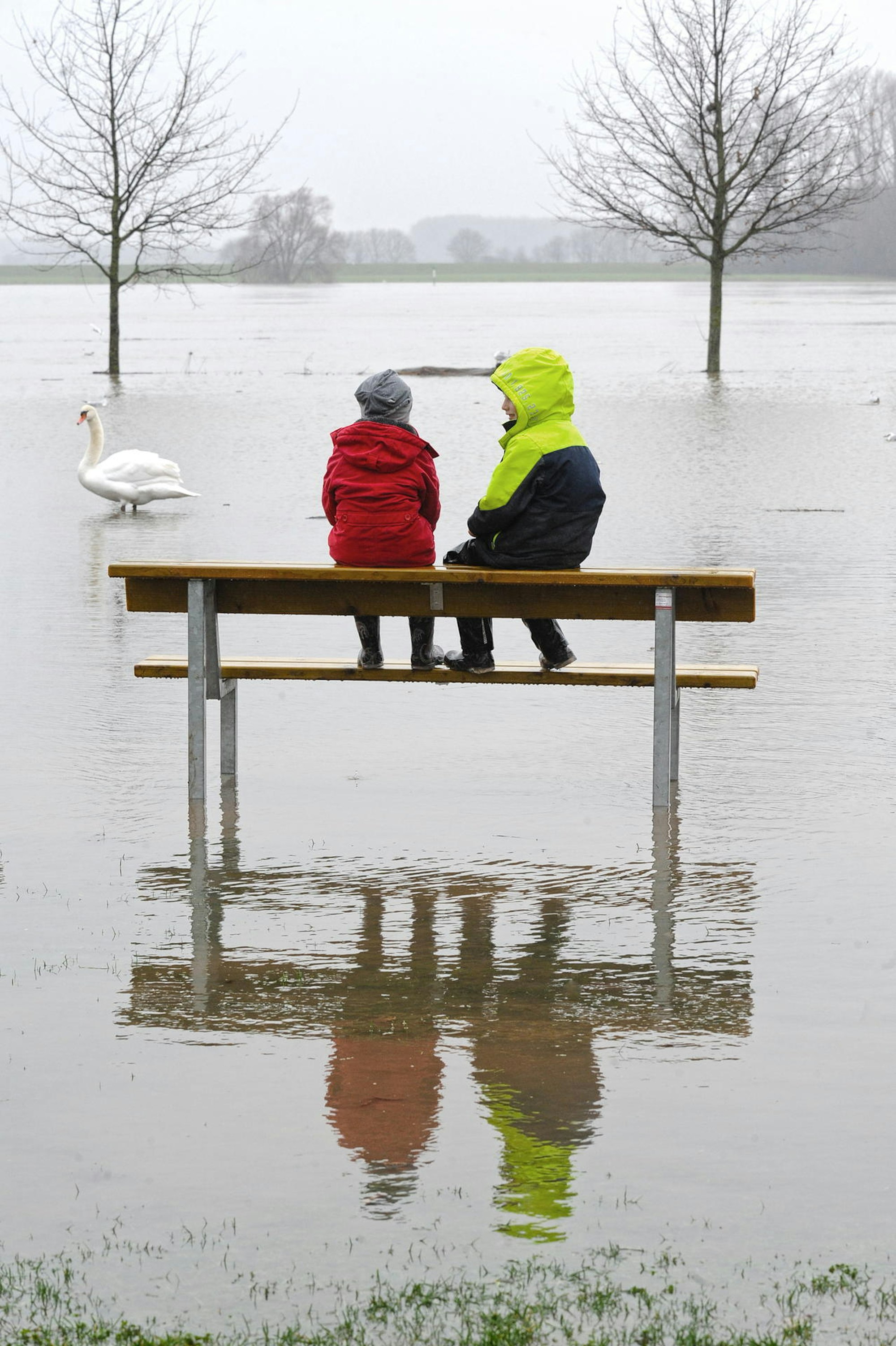 LE_hochwasser-hitdorf_(15)