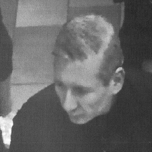 Öffentlichkeitsfahndung