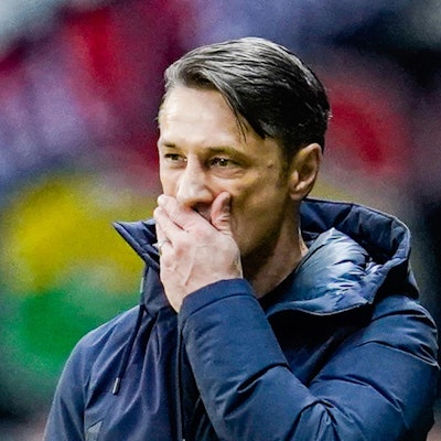 Niko Kovac DPA 031119