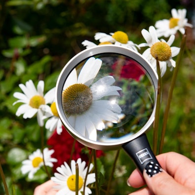 nabu natur entdecken kinder angebote rhein erft symbolbild