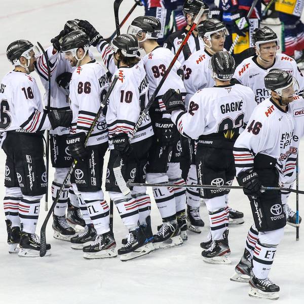 Kölner Haie