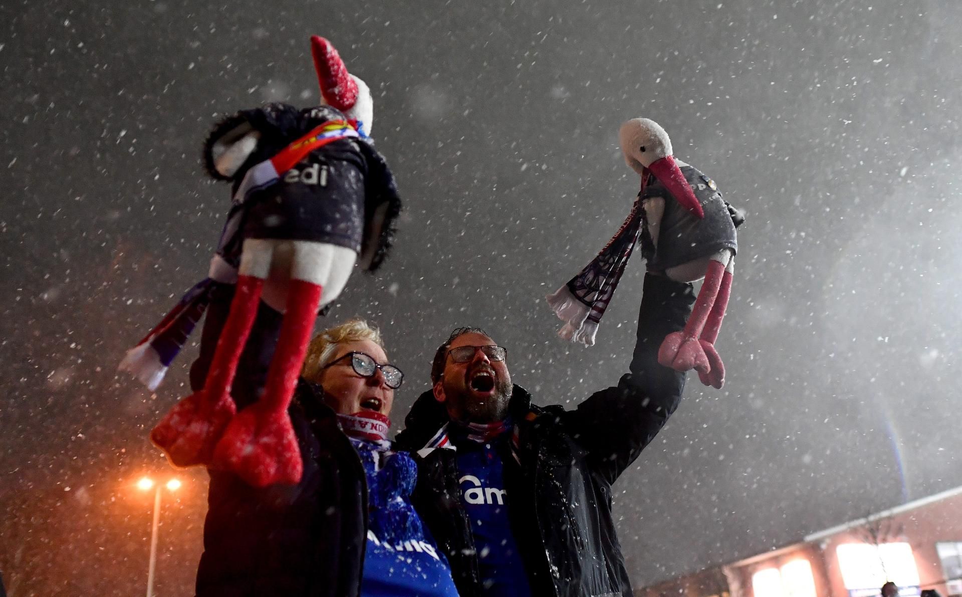 Holstein Kiel Fans