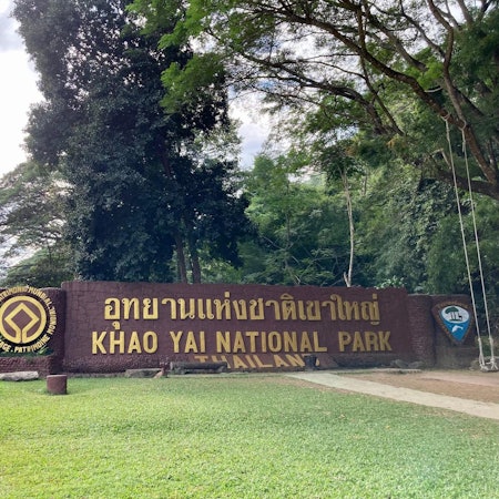 Elefanten Thailand Nationalpark