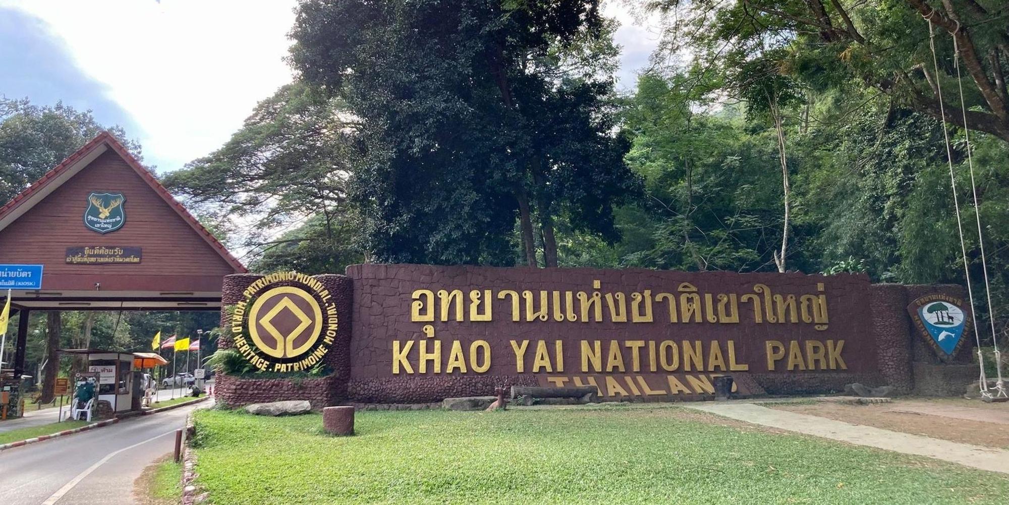 Elefanten Thailand Nationalpark