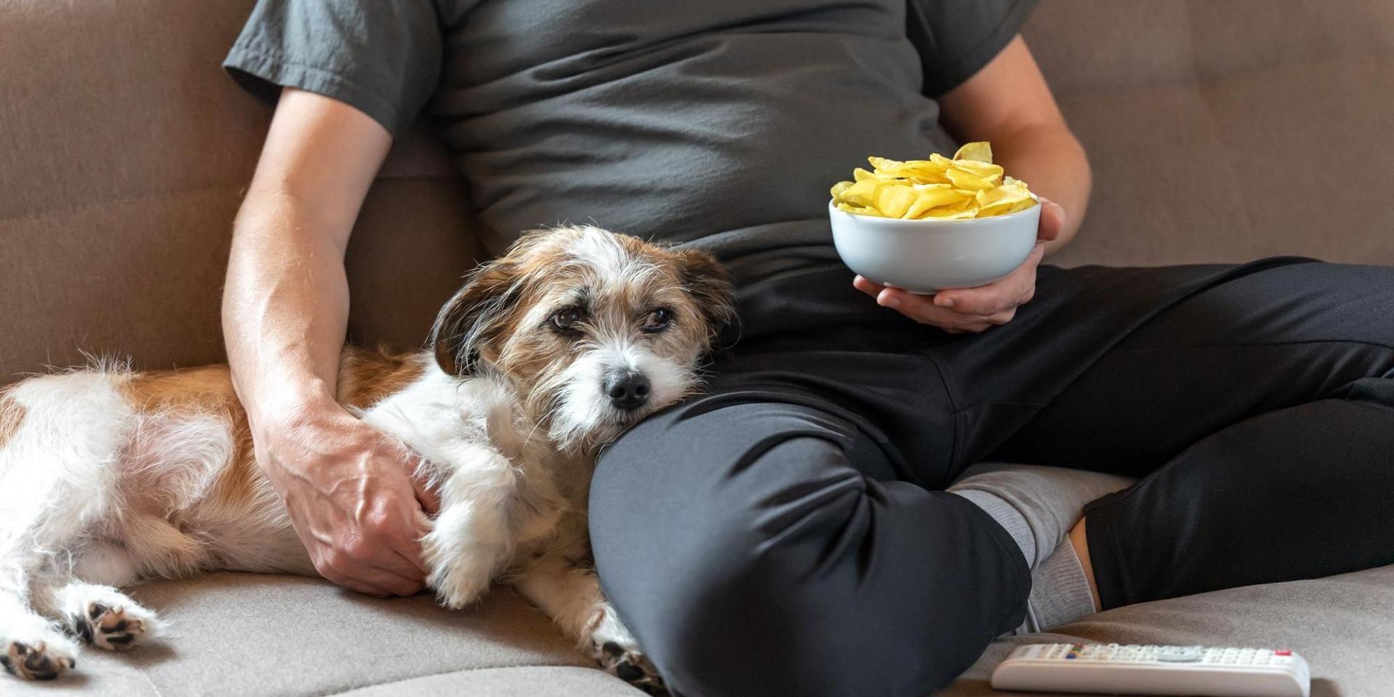 Chips mit Hund