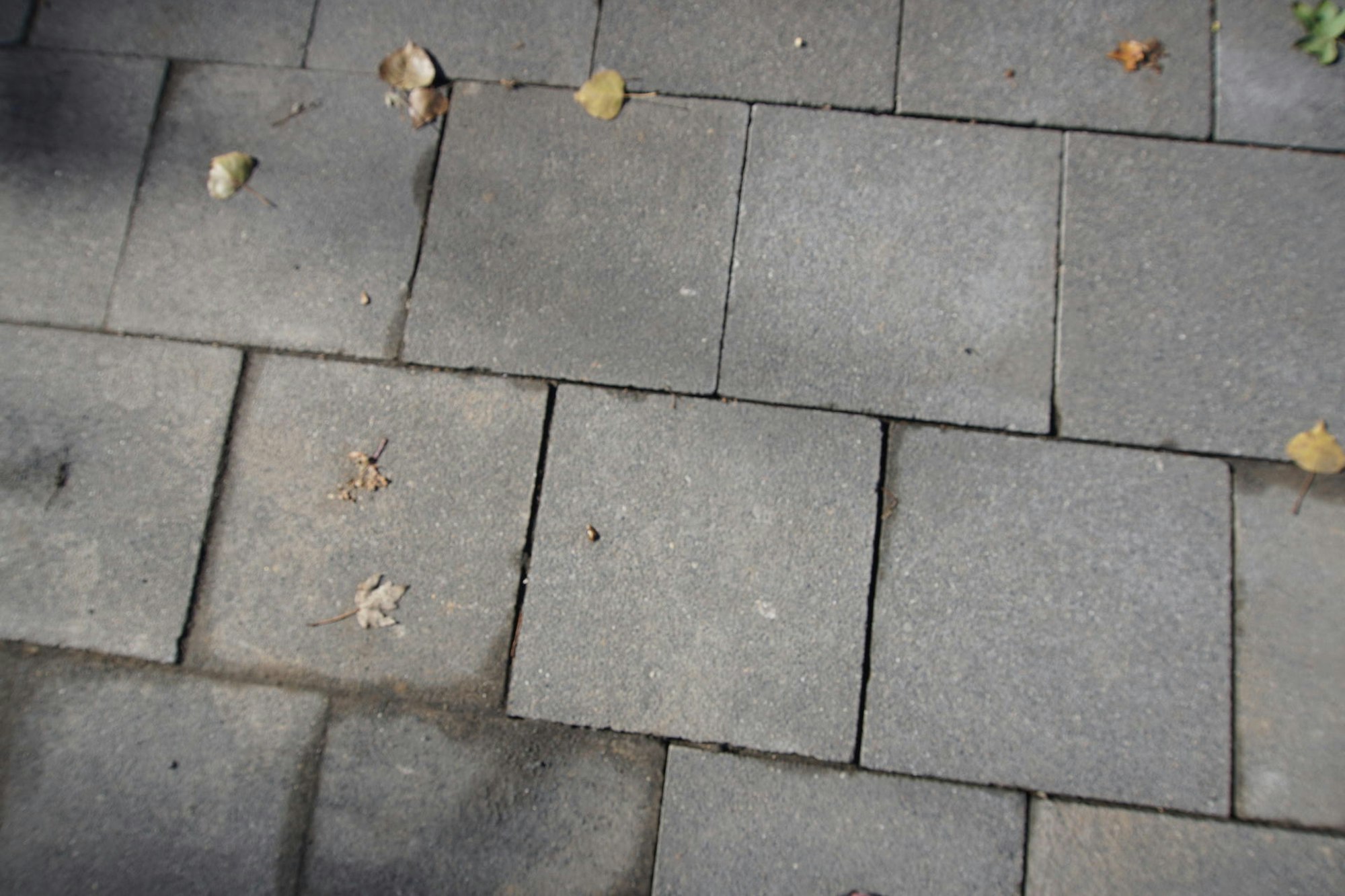 Glasfaserausbau Telekom Frechen: Gehwegfugen