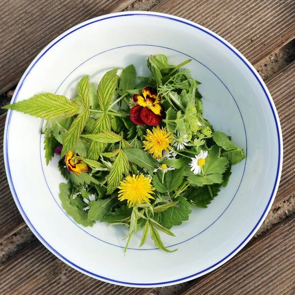 blüten aromenküche teller