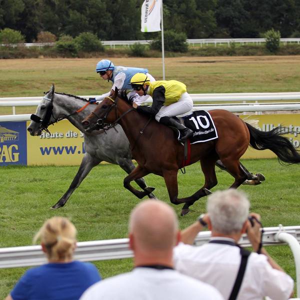 köln galopp rennverein