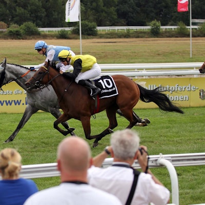 köln galopp rennverein