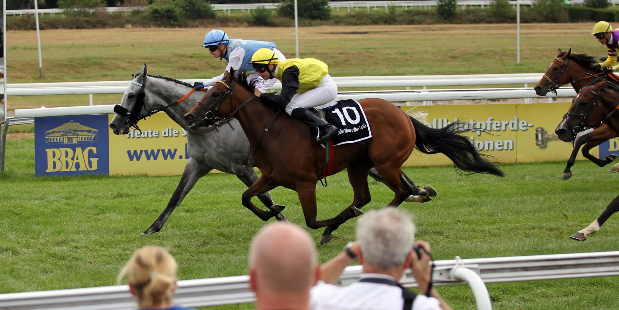 köln galopp rennverein