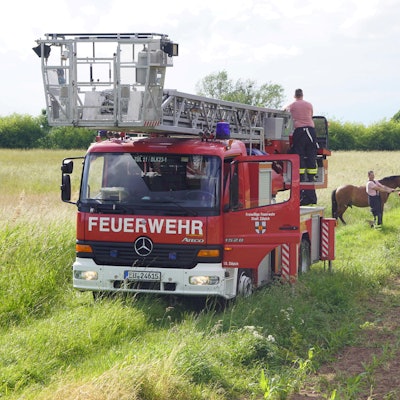 0906-zuepl-pferd-priebe030