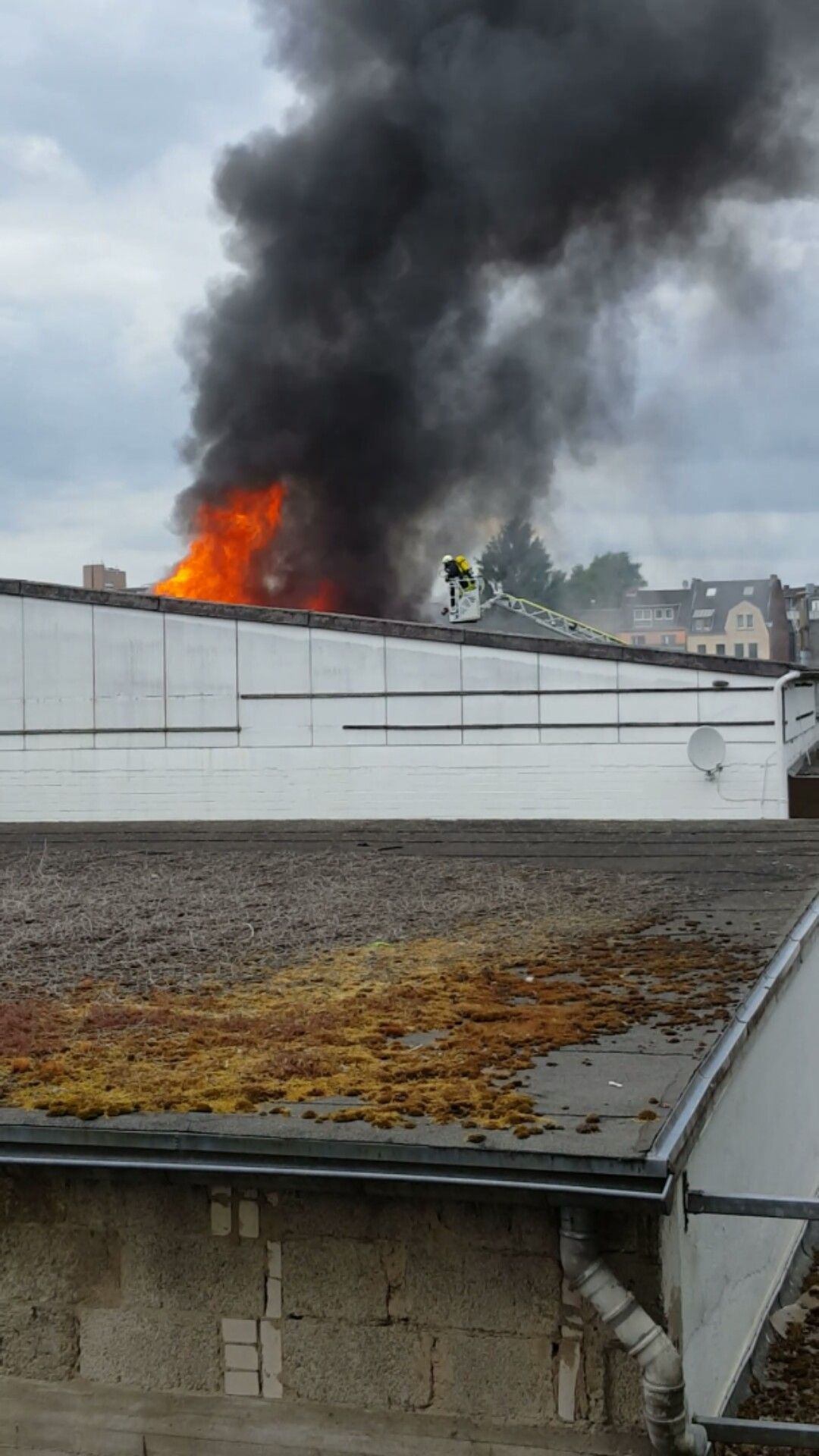 Feuer Zollstock