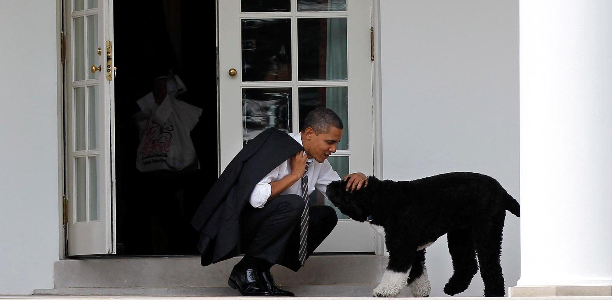 Barack Obama und Bo