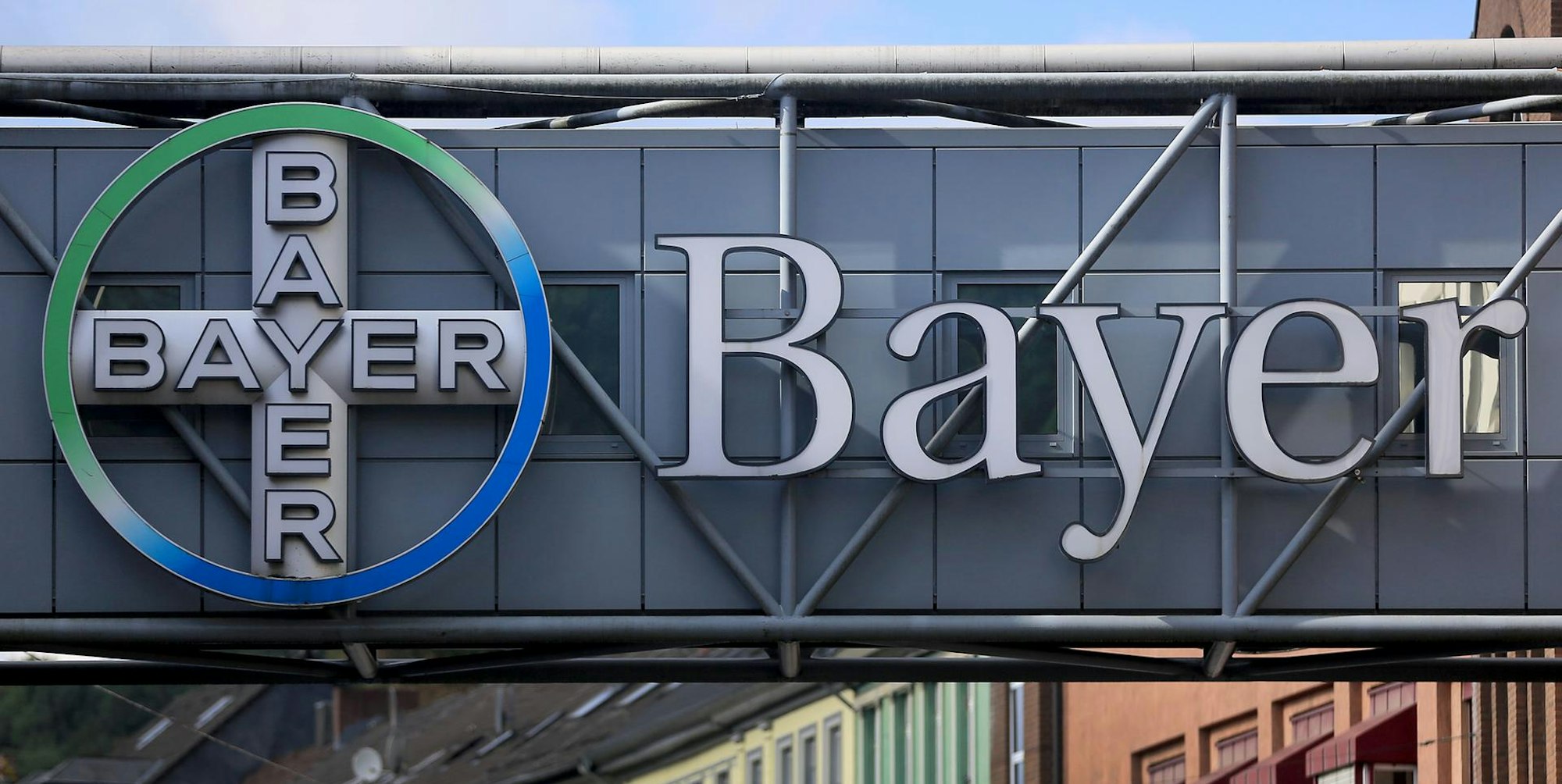 Bayer dpa2