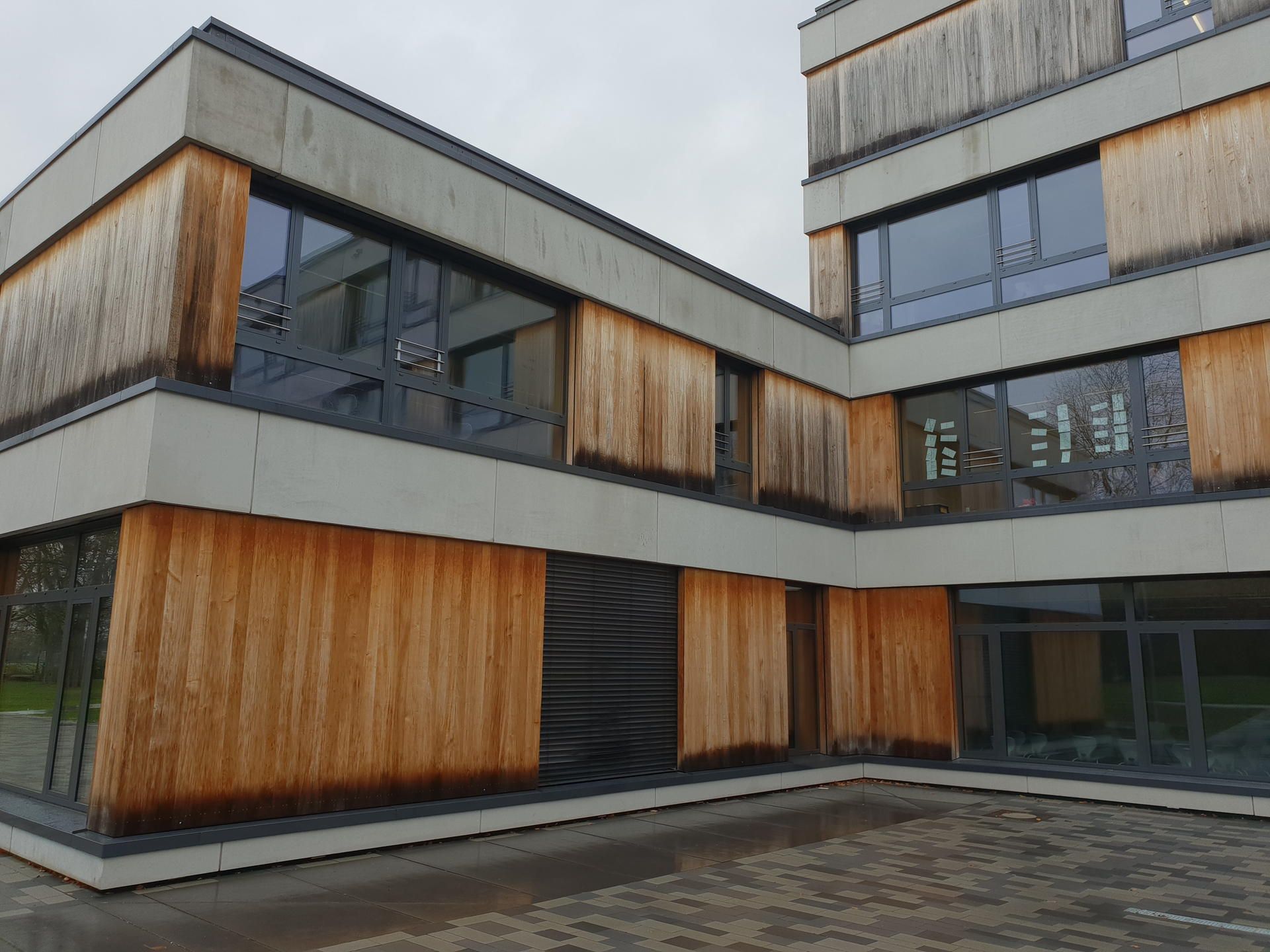 Gesamtschule-holzfassade