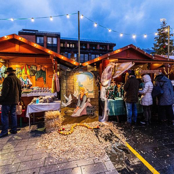Zintemaat in Meckenheim (1)