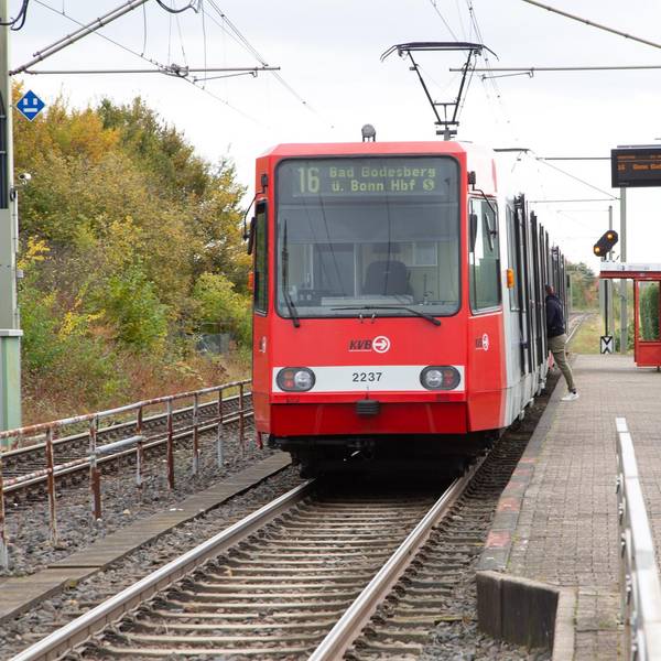 Linie 16