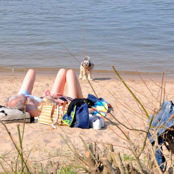 Strandleben Rodenkirchen