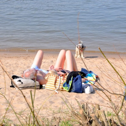 Strandleben Rodenkirchen