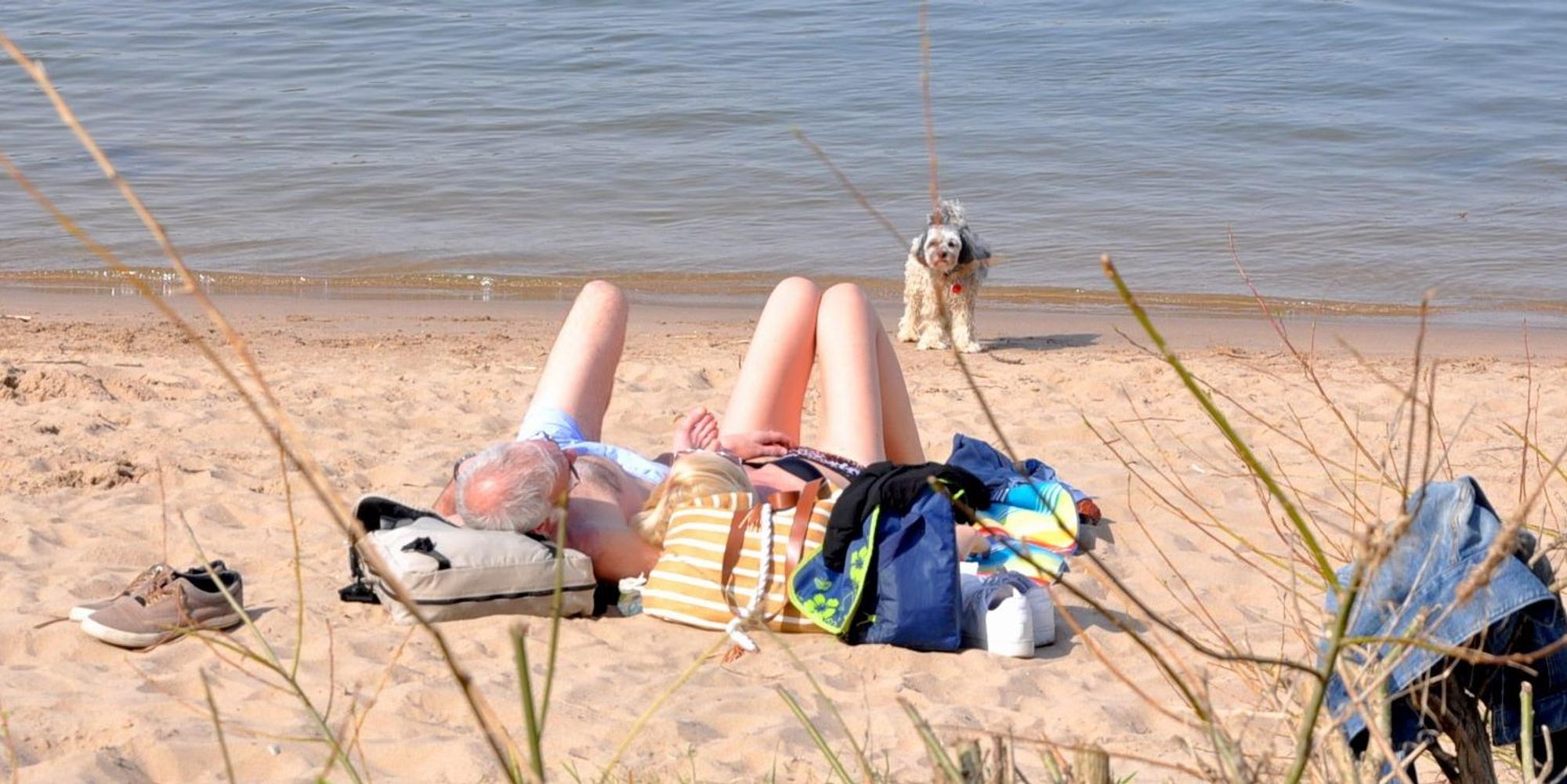 Strandleben Rodenkirchen