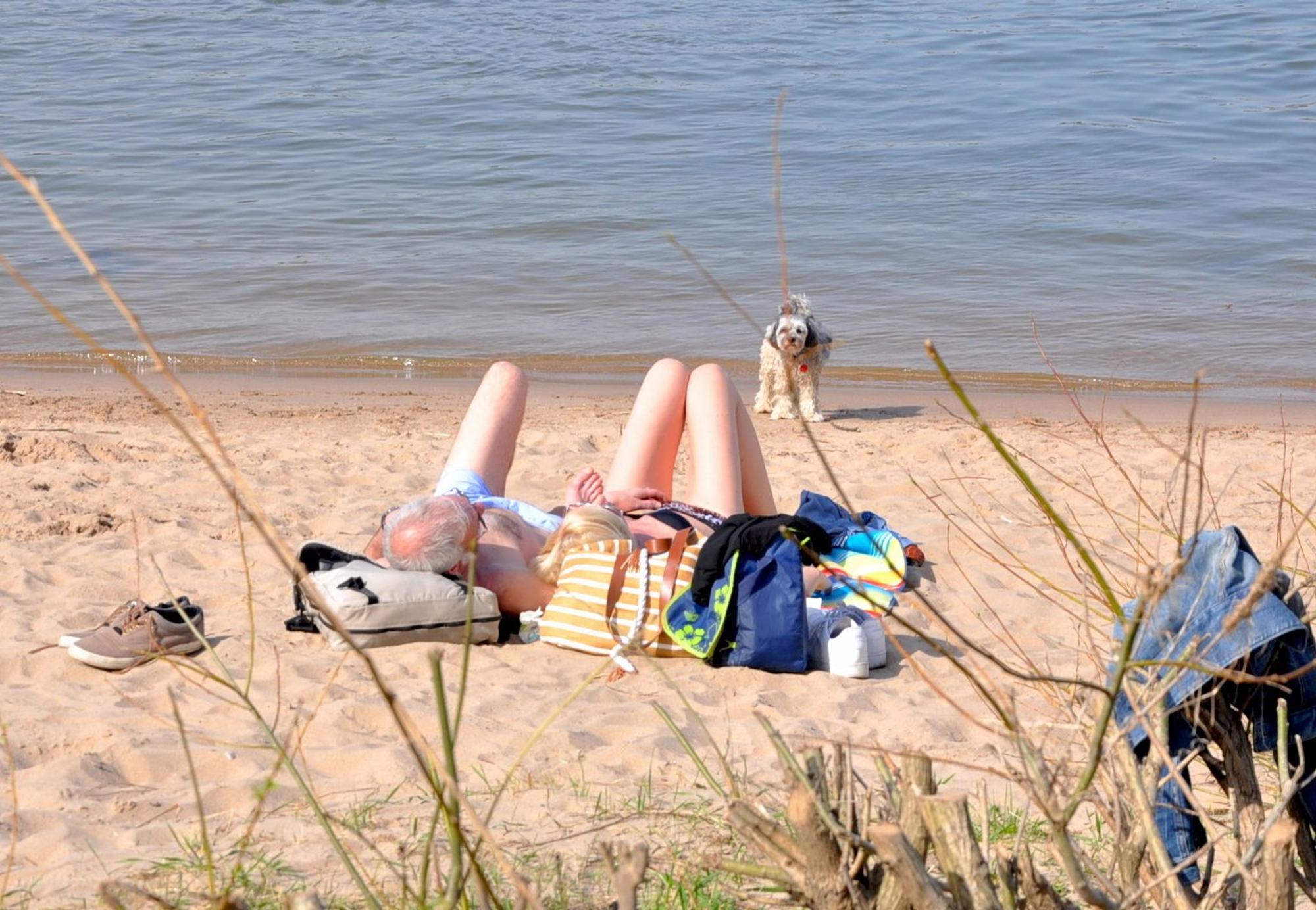 Strandleben Rodenkirchen
