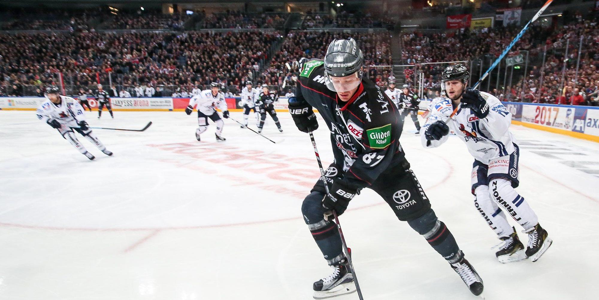 Haie sieg
