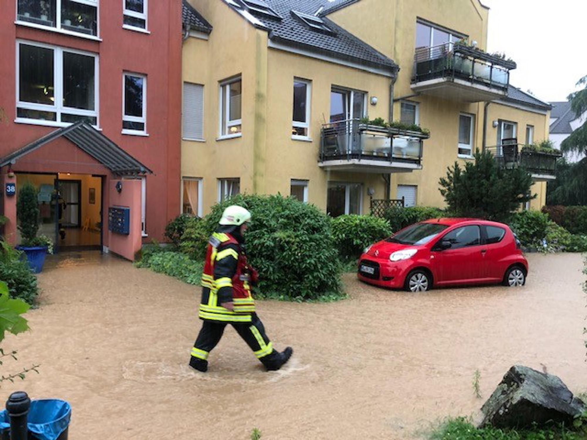 schlebusch2
