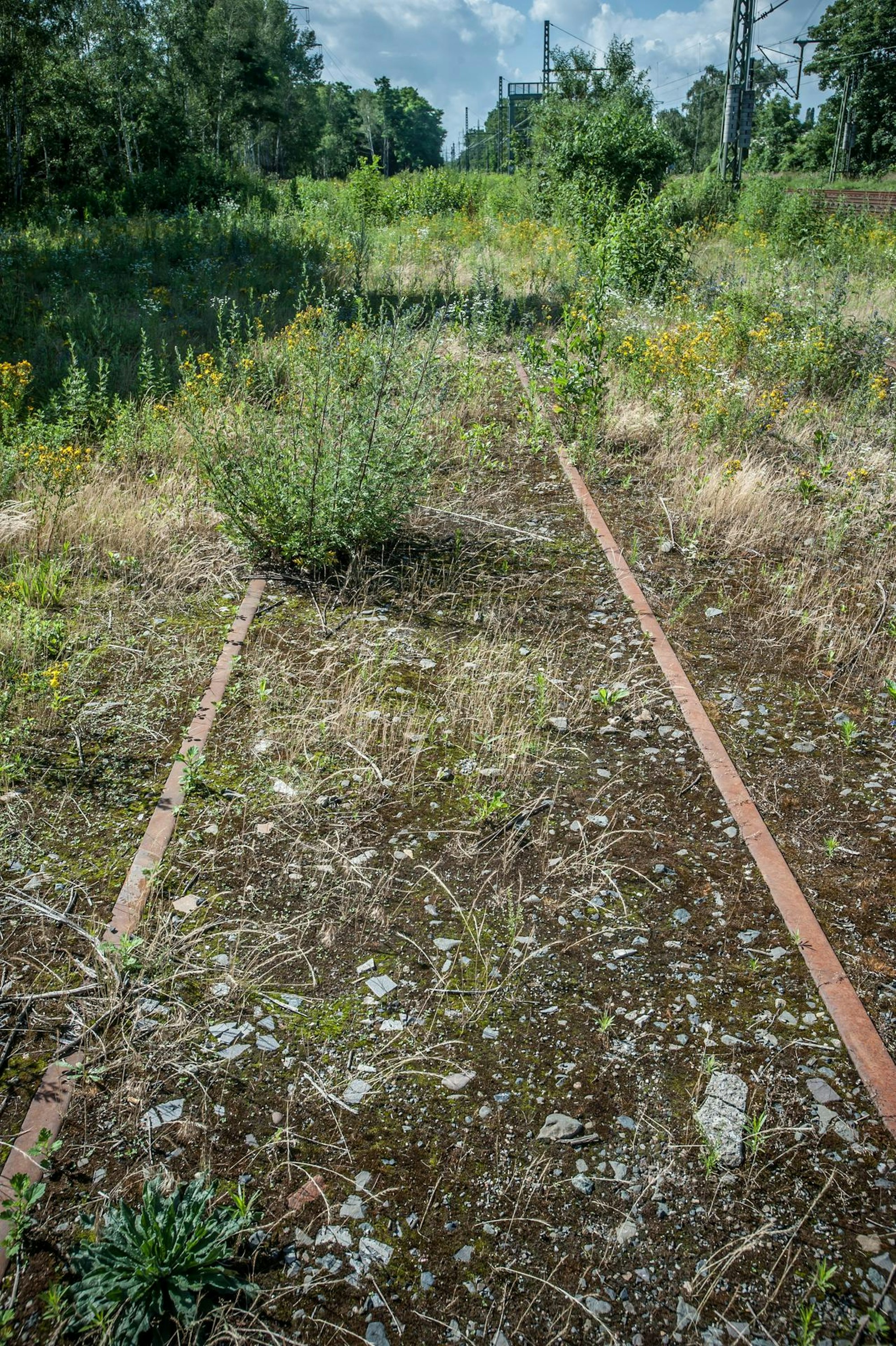 gleisanschluss_RLE_leverkusen07072021ALF_4278