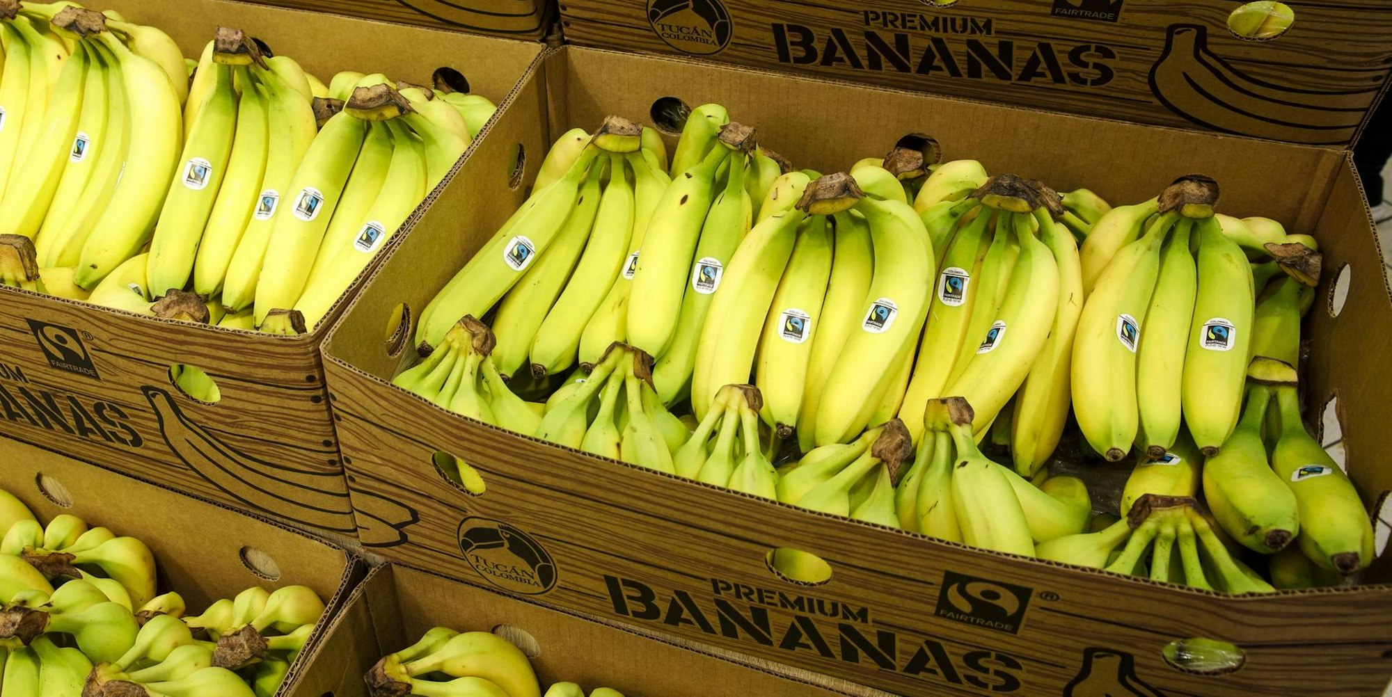Fairtrade Bananen Lidl