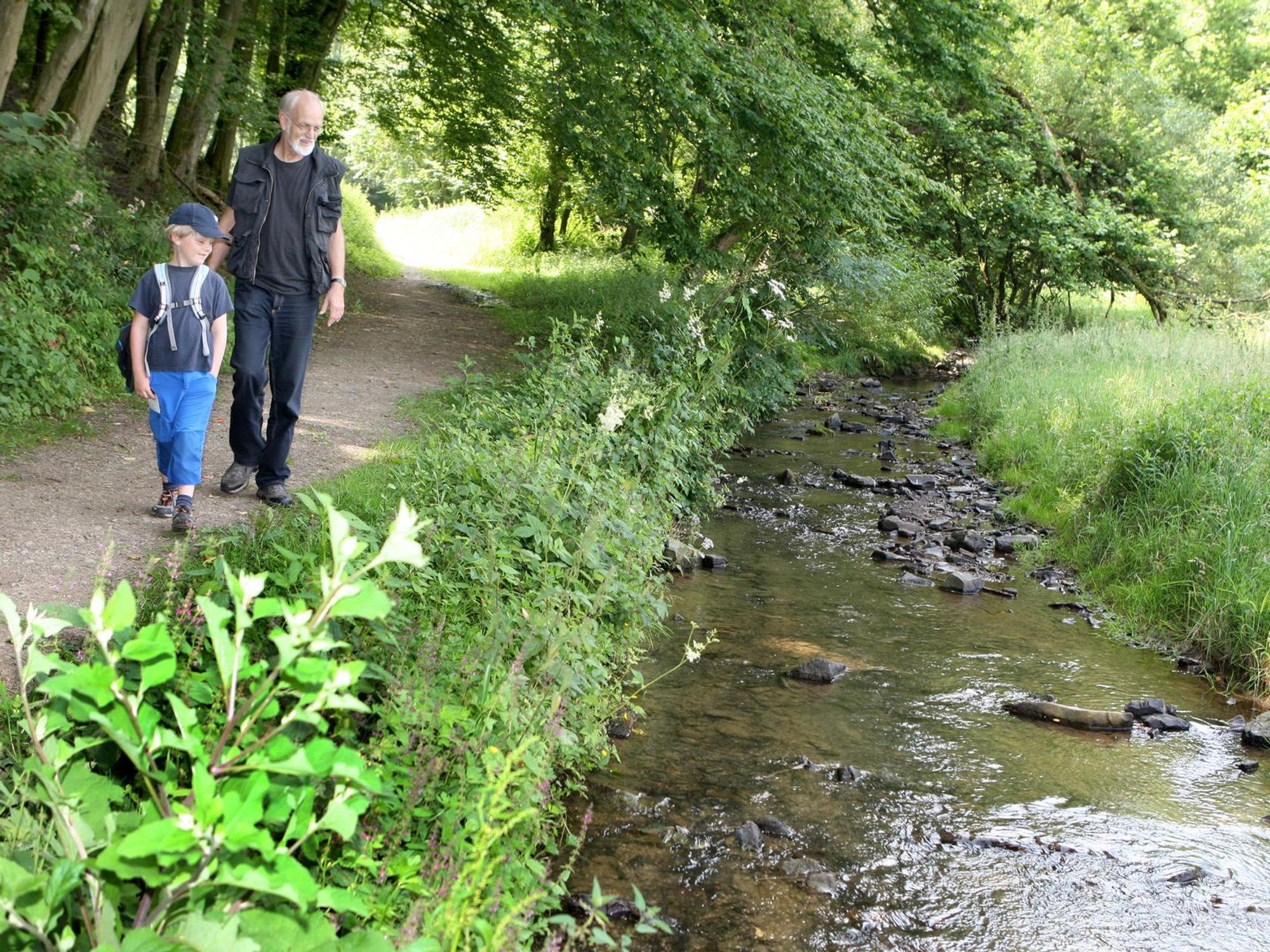 Am Bechbach