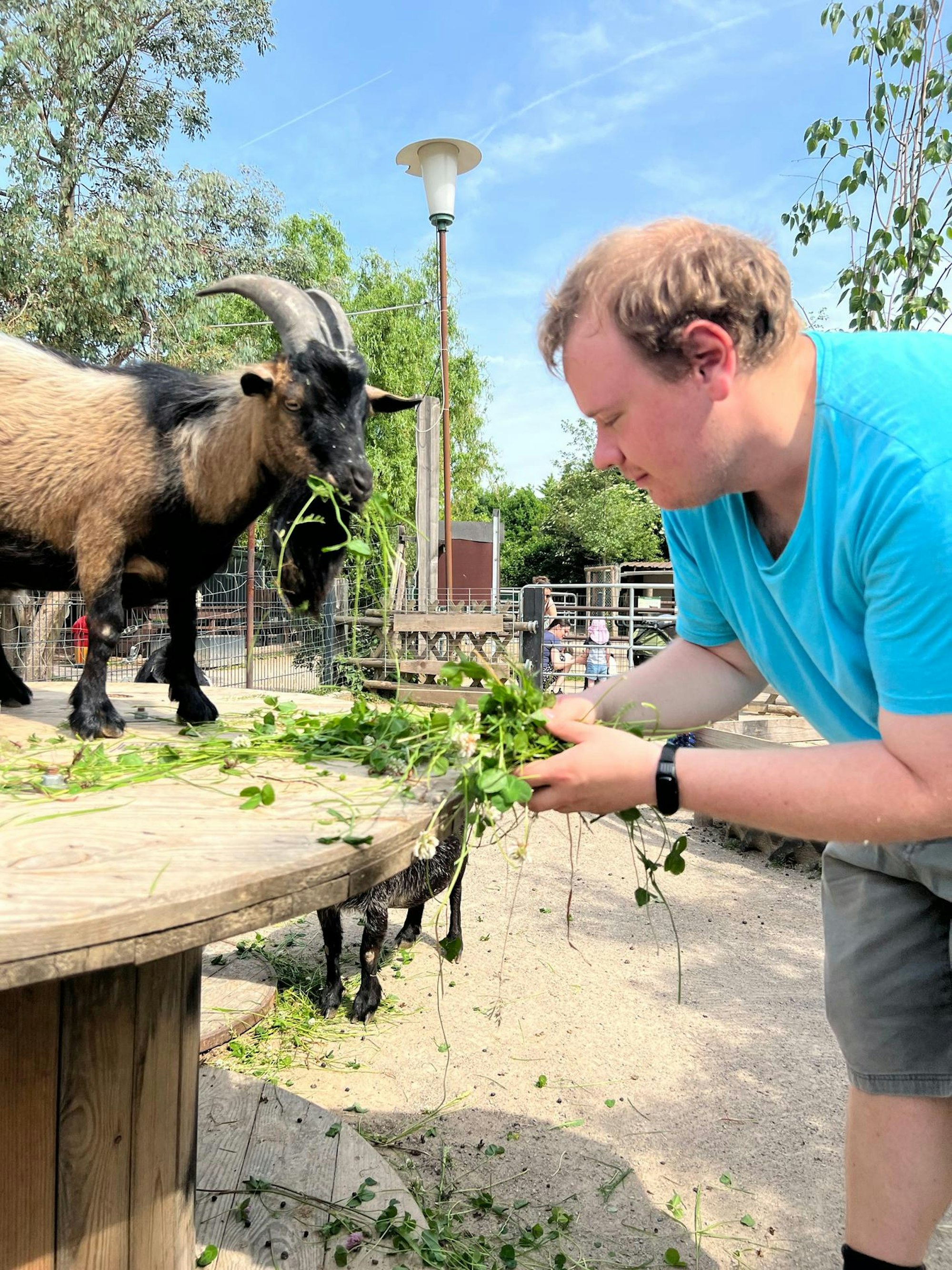 Streichelzoo Projekt 2