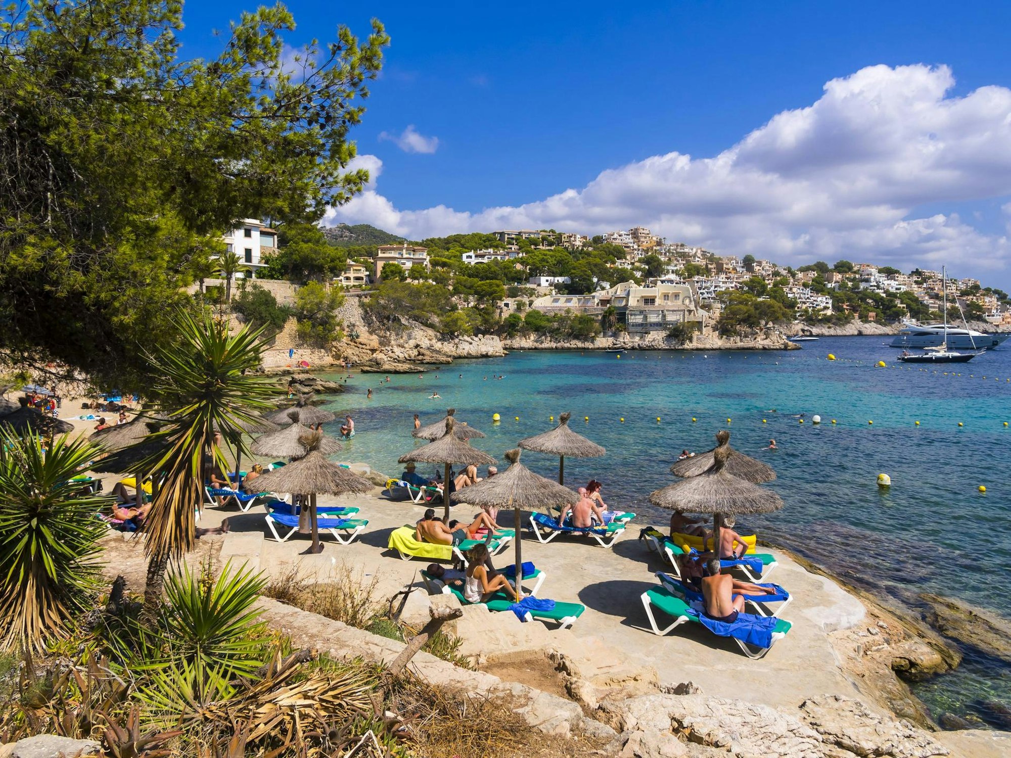 01KBO_04_71-117932794_ori