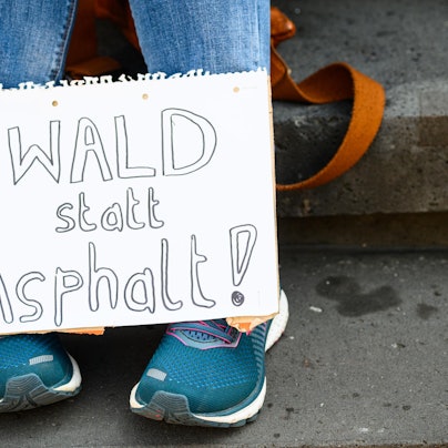 Fridays for Fututre Demo