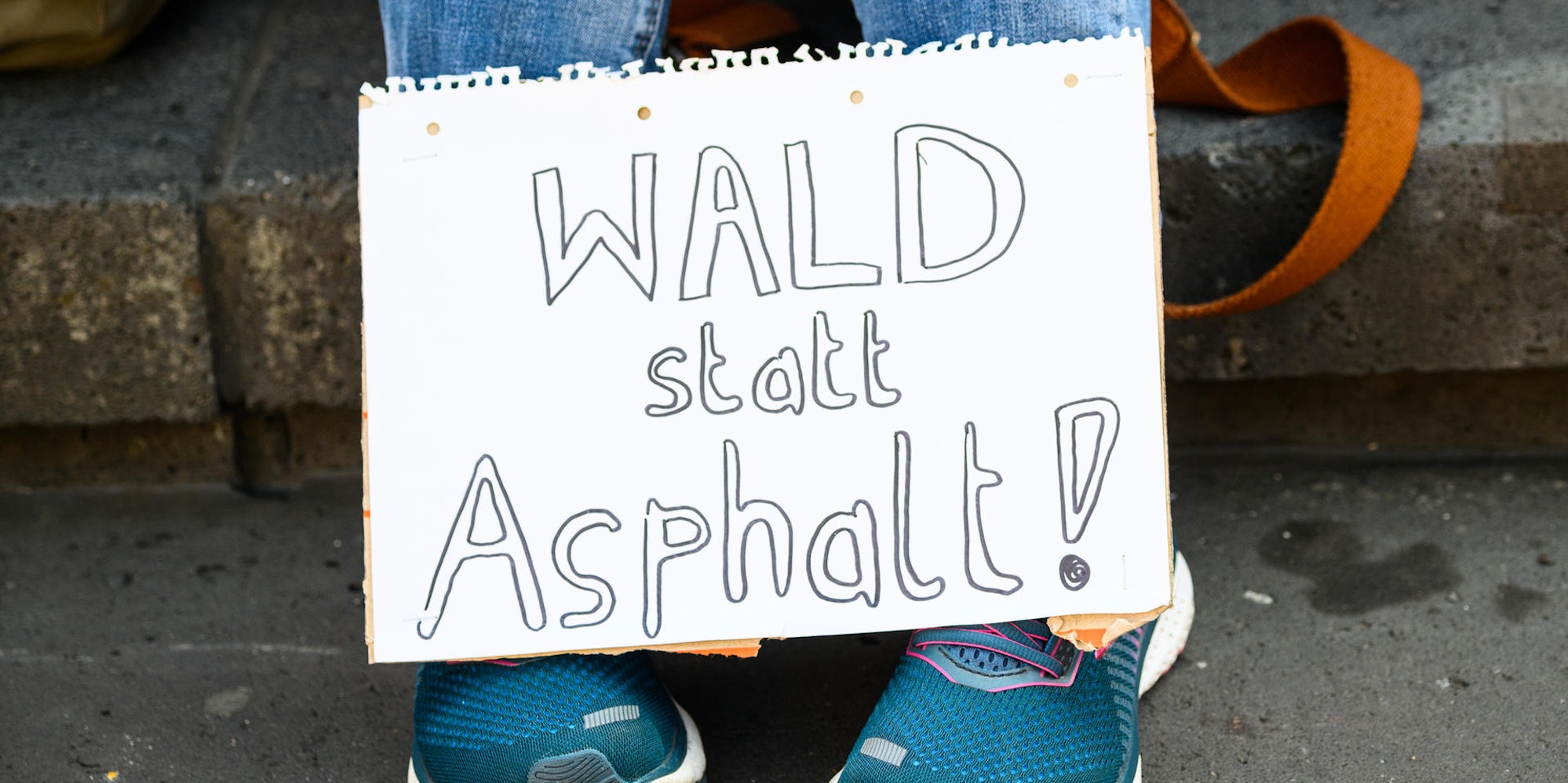 Fridays for Fututre Demo