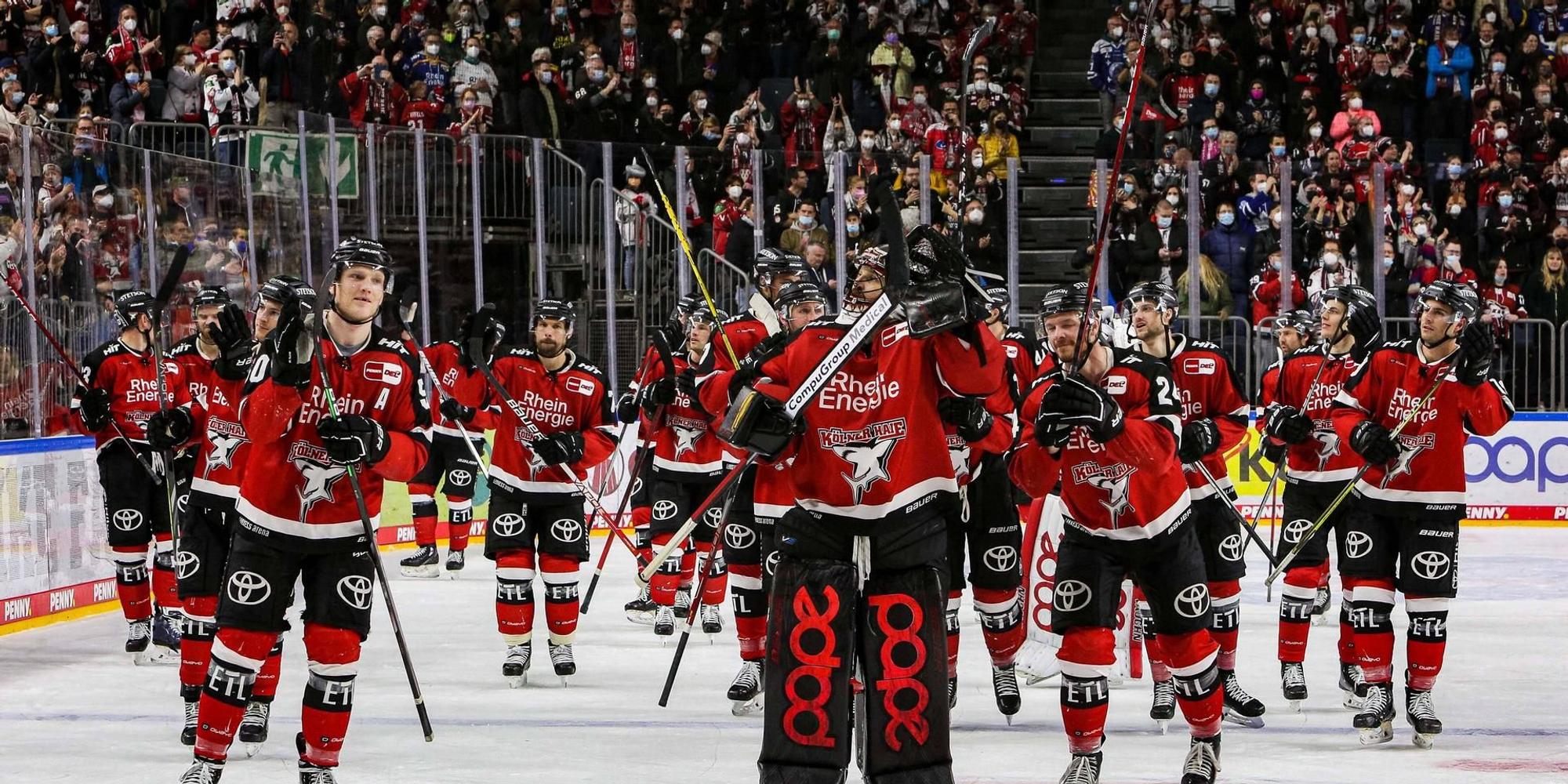 Kölner Haie Fans jubeln