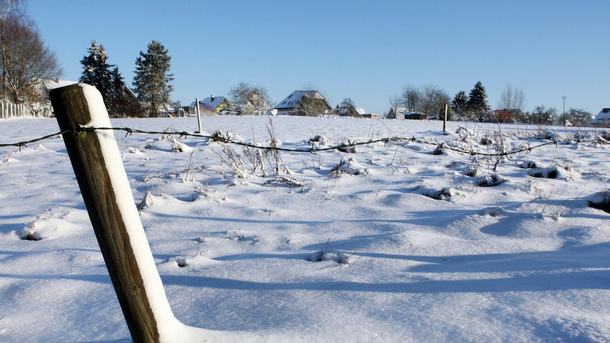 Schnee liegt auf den Feldern, Bäume im Hintergrund.
