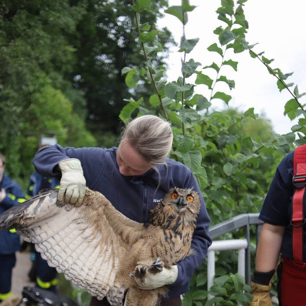 Tierrettung2