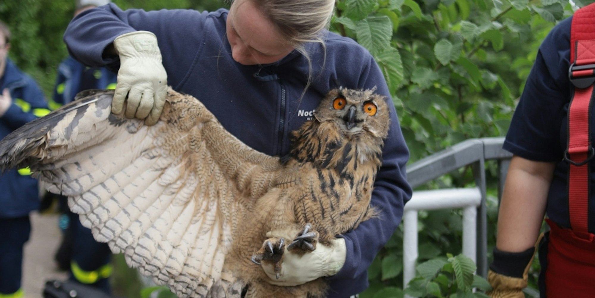 Tierrettung2