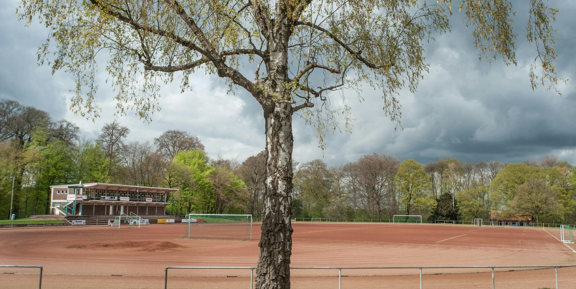 leverkusen-birkenberg-ALF_5344
