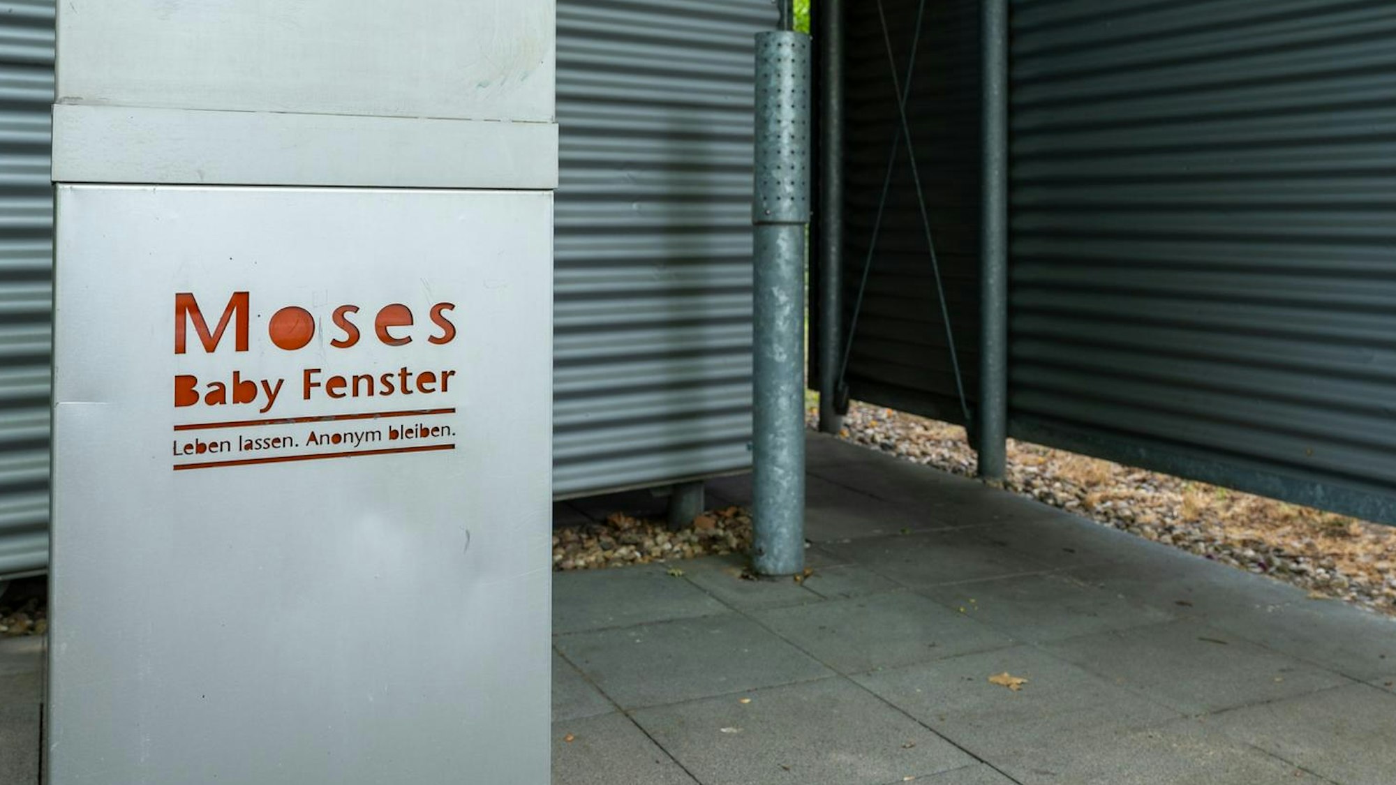 Das Moses Fenster in Köln