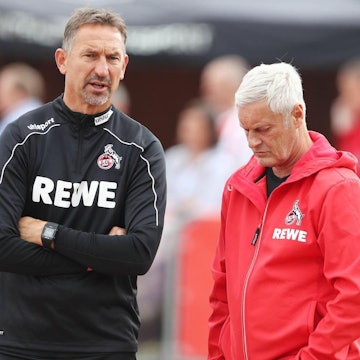 veh beierlorzer bucco