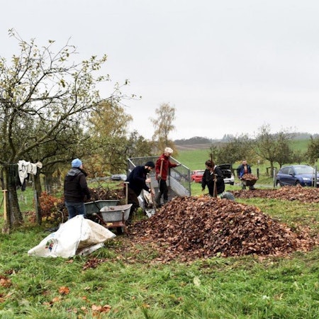 Solidarische_Landwirtschaft_Much