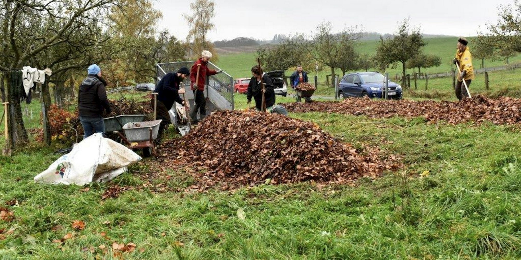 Solidarische_Landwirtschaft_Much