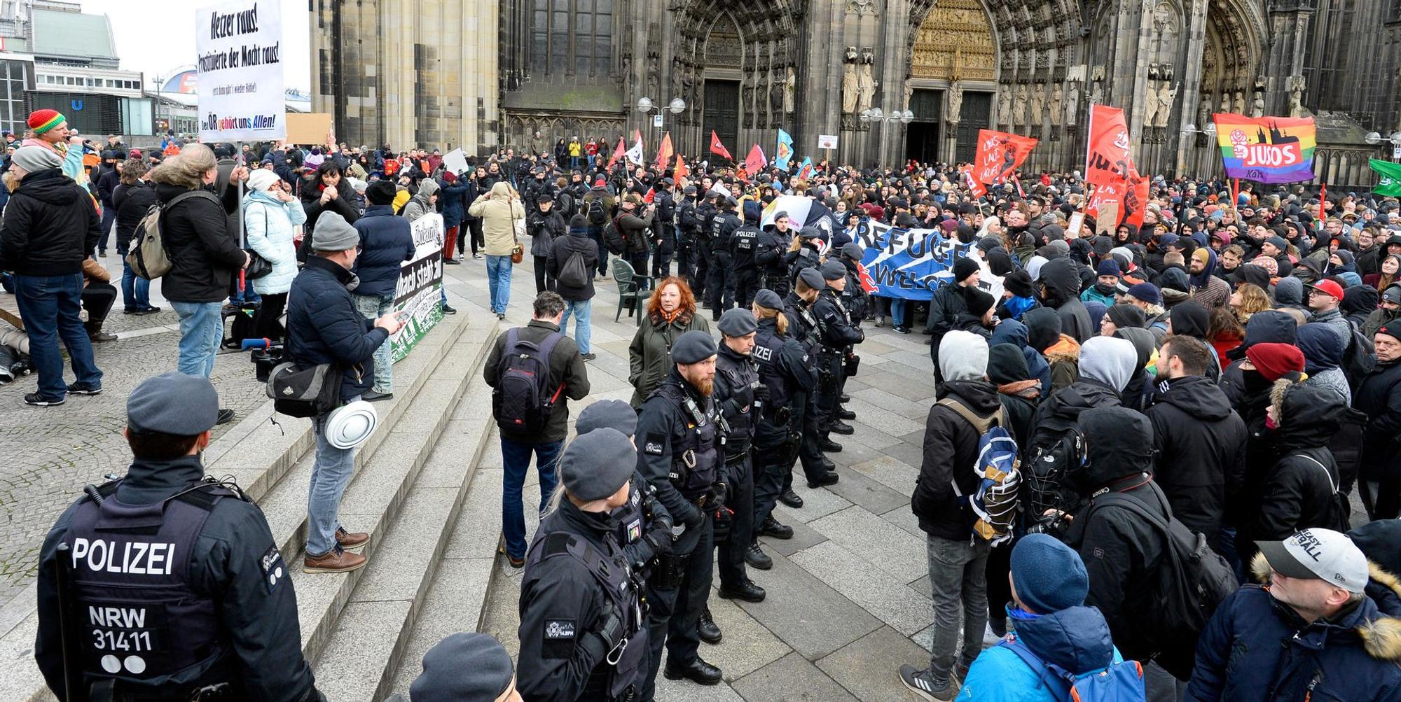 Köln Demo AfD