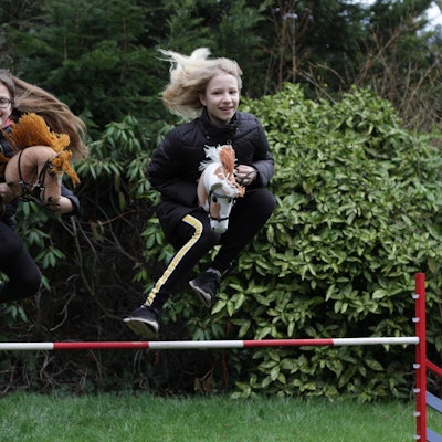 Hobby Horses_David Kraft 2