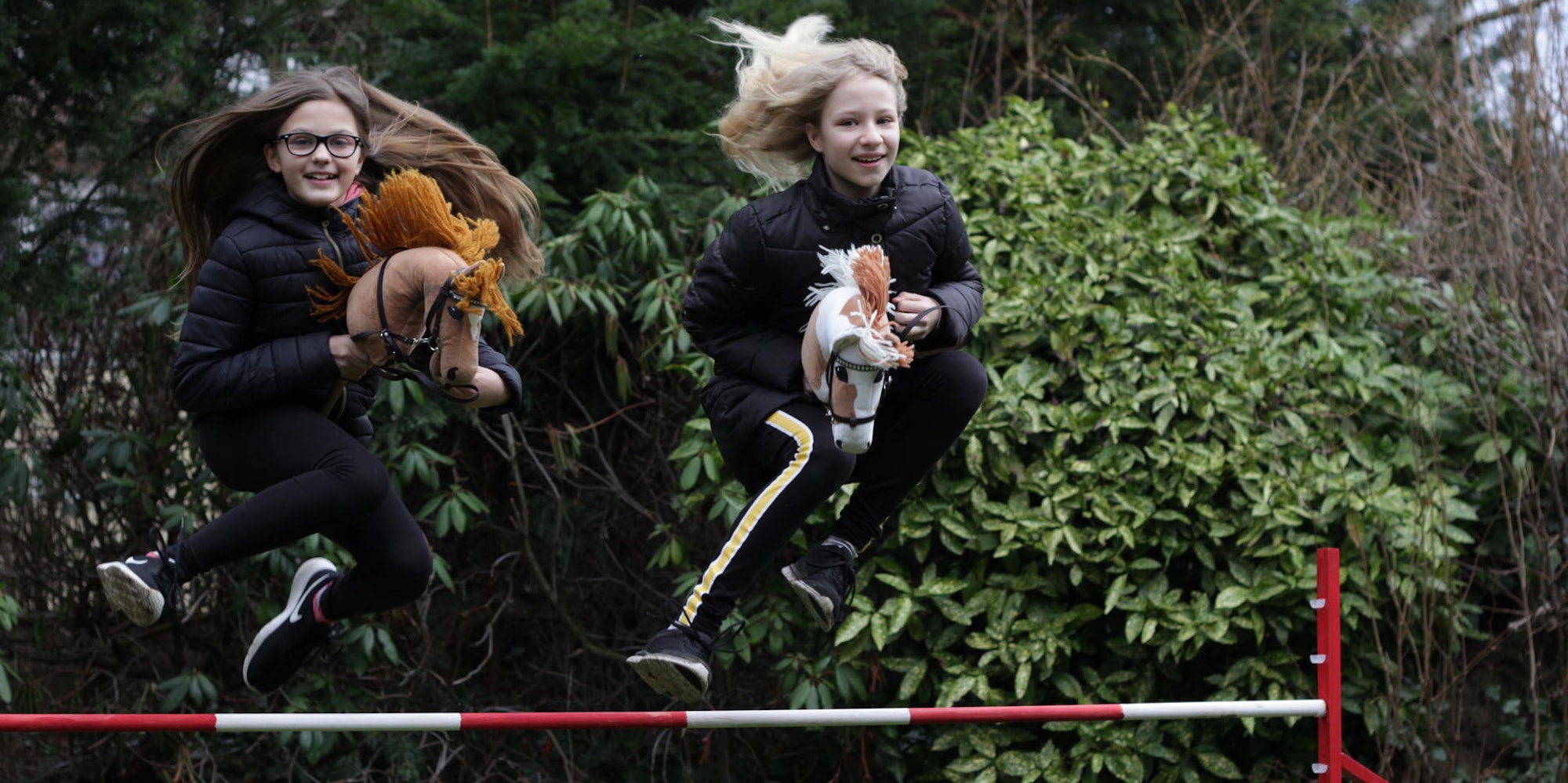 Hobby Horses_David Kraft 2