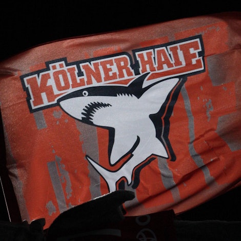 Neuer Inhalt