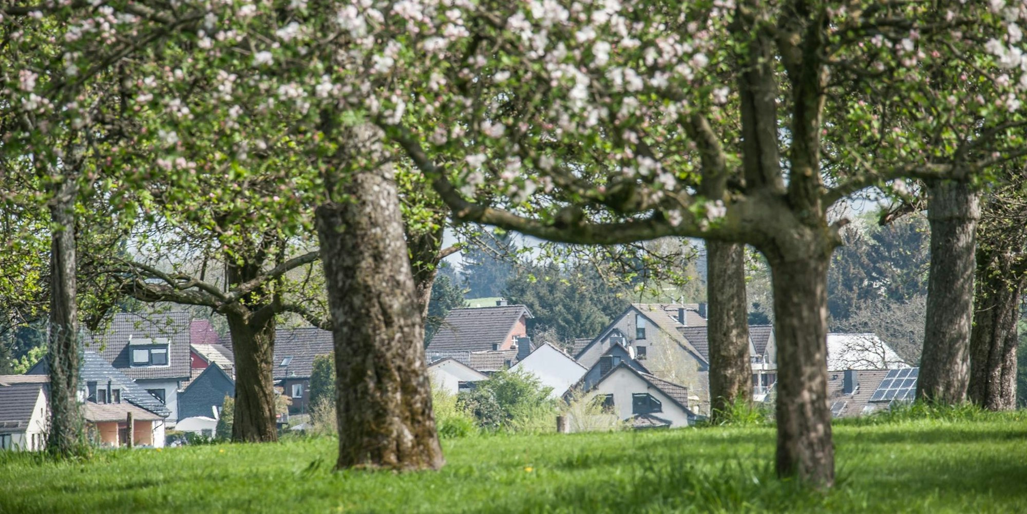 obstweg-leichlingen_rar_rle_04152022ALF_4999