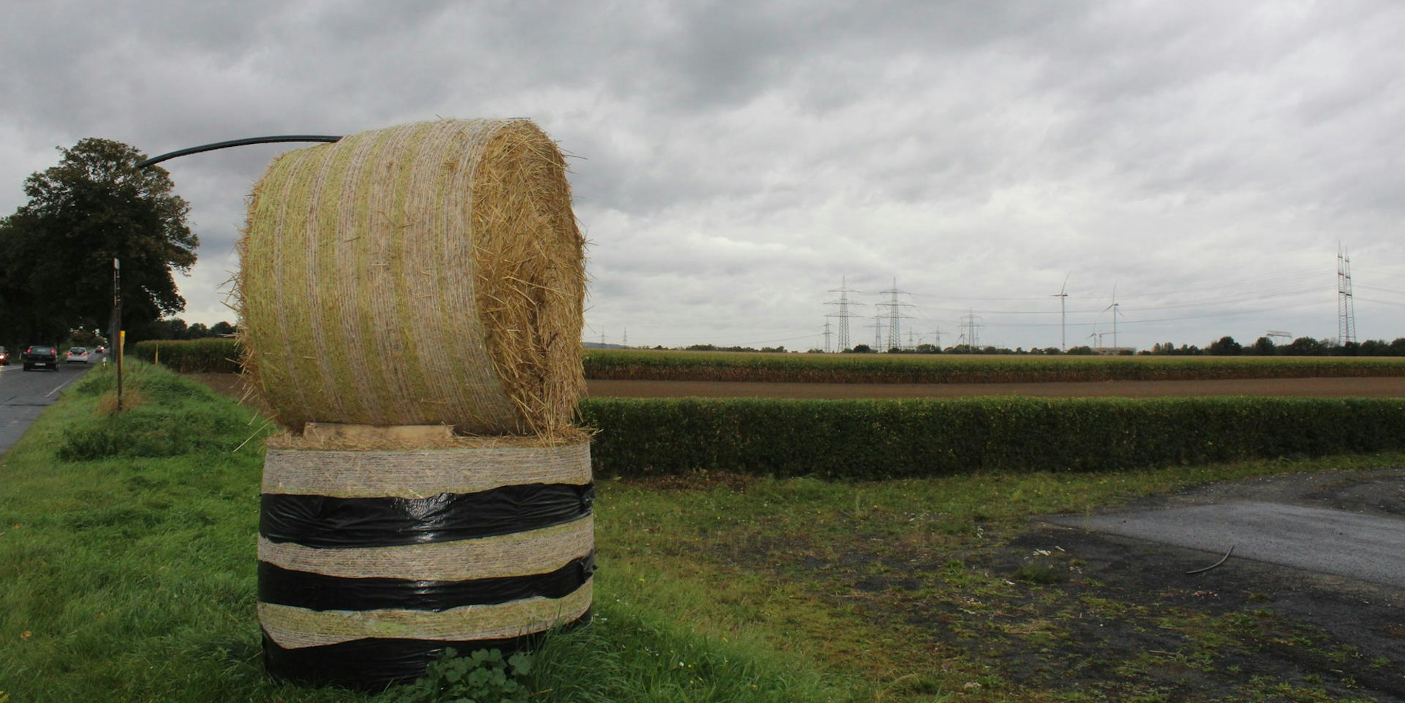 Futura Bergheim-Zieverich
